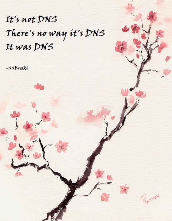 Sakura picture with the haiku It’s not DNS, There’s no way it’s DNS, It was DNS —u/SSBroski